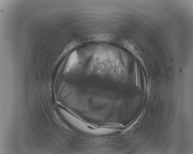 X0000080690249200612301456