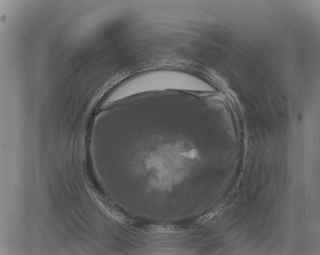 X0000080690250200612301456