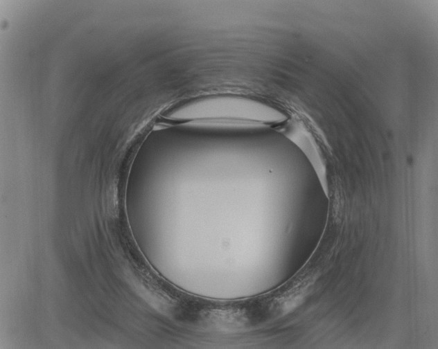 X0000080690251200612301456