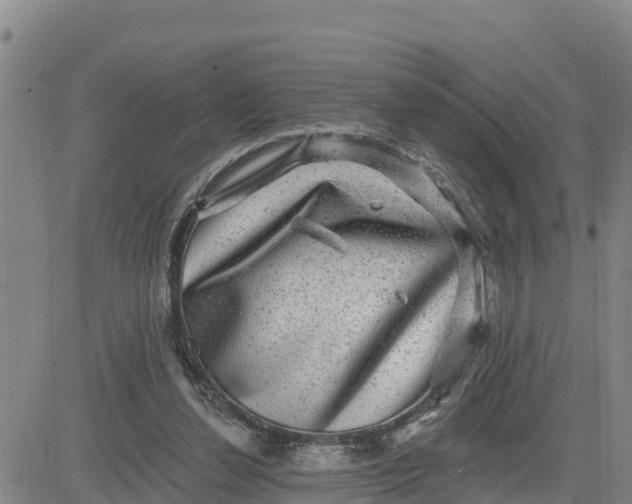 X0000080690252200612301456