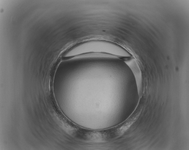 X0000080690253200612301456