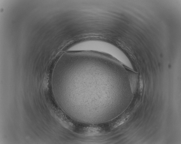 X0000080690255200612301456