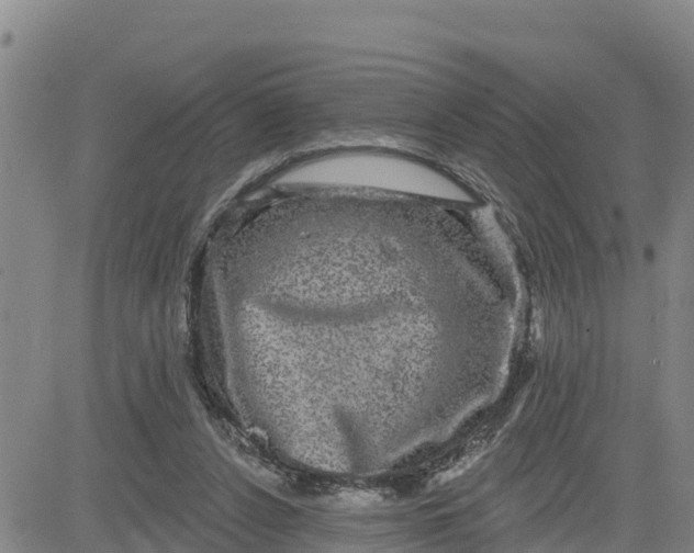 X0000080690256200612301456