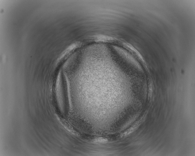 X0000080690257200612301456