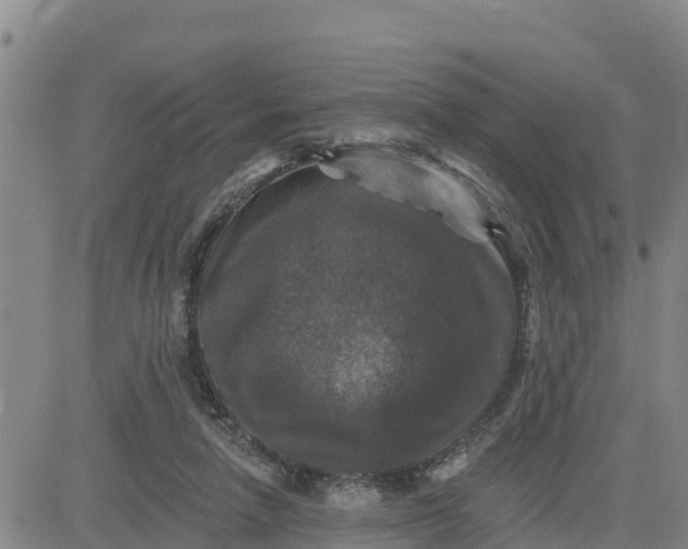 X0000080690258200612301456