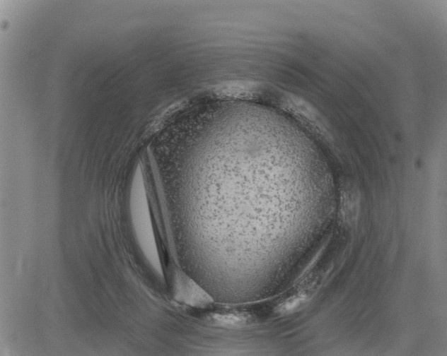 X0000080690259200612301456