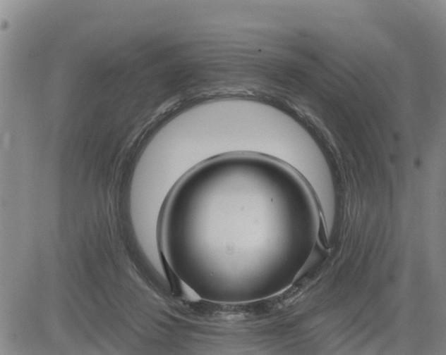 X0000080690260200612301457