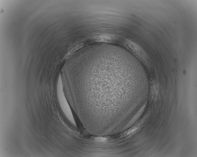 X0000080690265200612301457