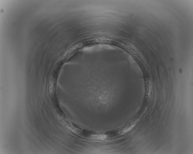 X0000080690266200612301457