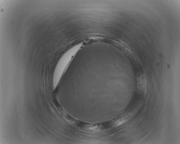 X0000080690267200612301457