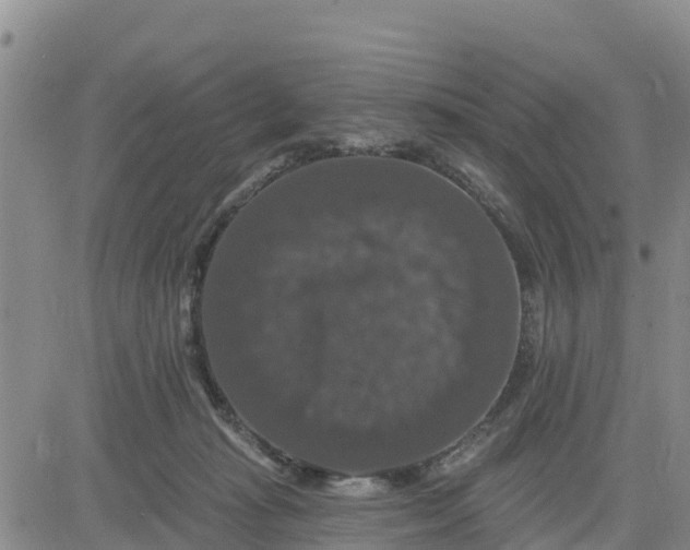 X0000080690269200612301457