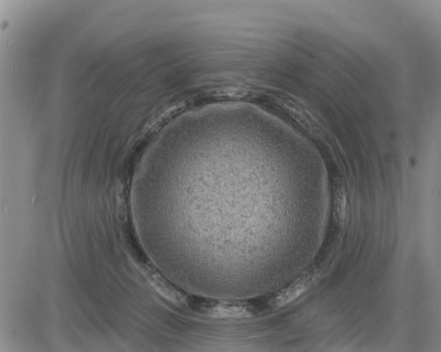 X0000080690270200612301457