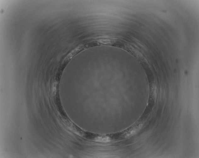 X0000080690271200612301457