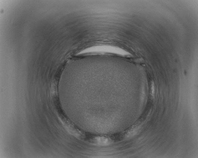 X0000080690272200612301457