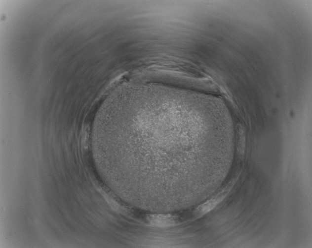 X0000080690273200612301457