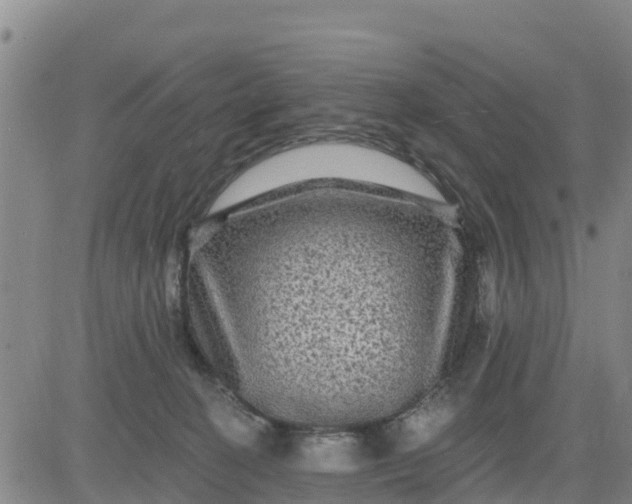 X0000080690274200612301457