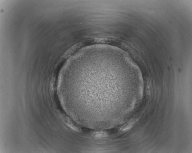 X0000080690275200612301457