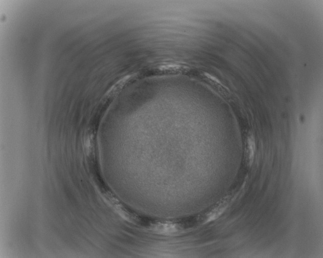 X0000080690276200612301457