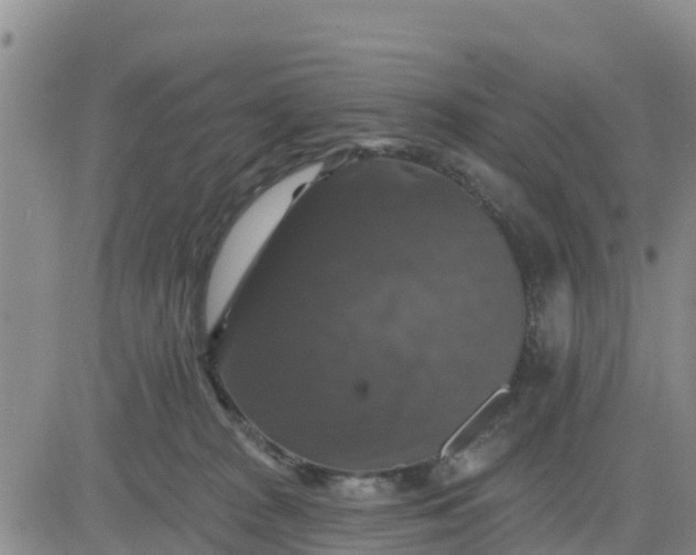 X0000080690277200612301457