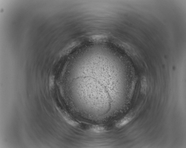 X0000080690278200612301457