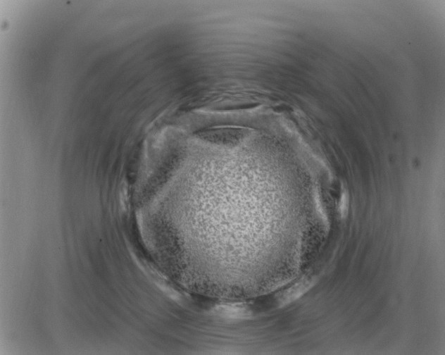 X0000080690280200612301457