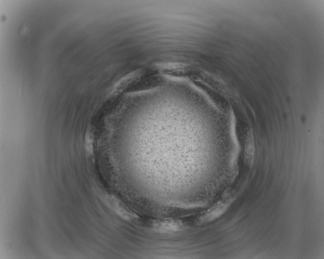 X0000080690282200612301457