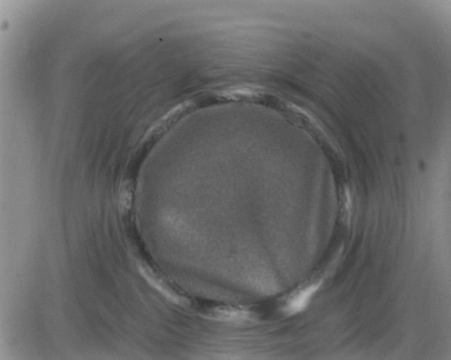 X0000080690284200612301457