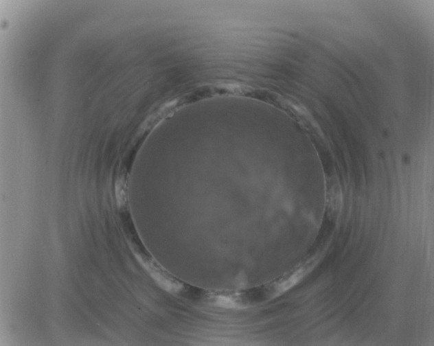 X0000080690285200612301457