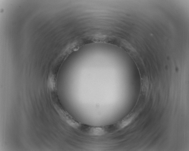 X0000080690287200612301457