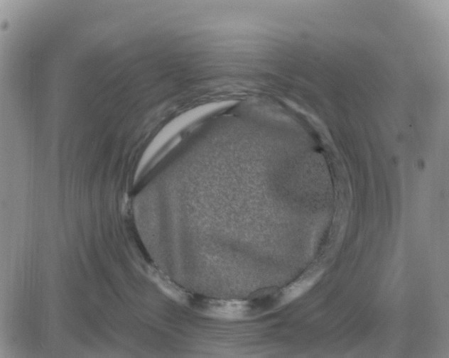 X0000080690288200612301457