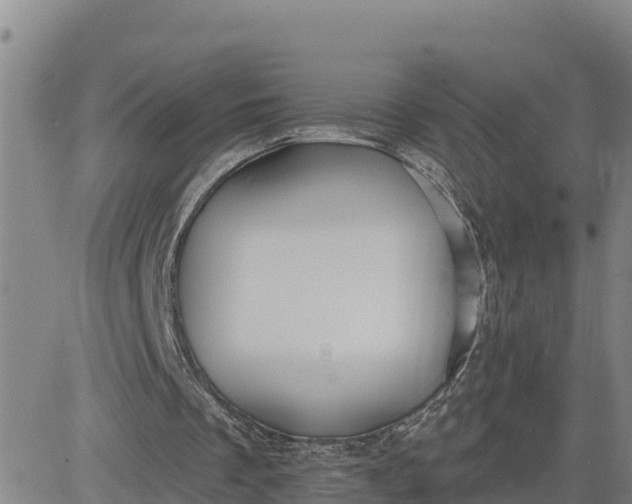 X0000080690289200612301456