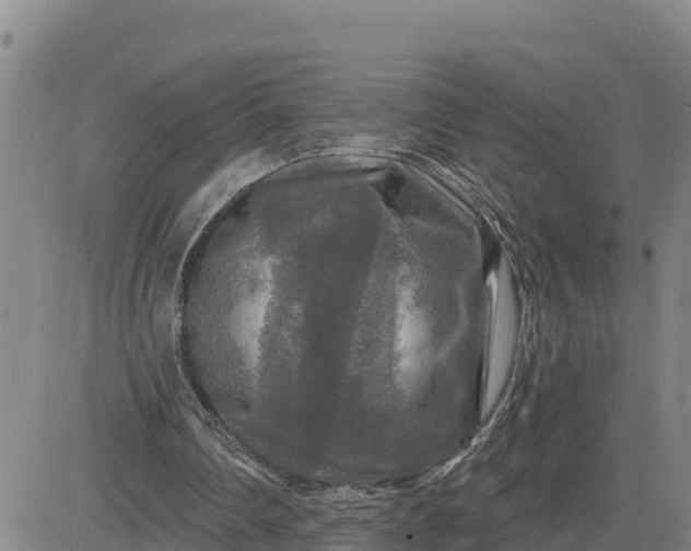 X0000080690290200612301456