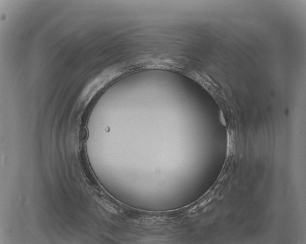 X0000080690291200612301456