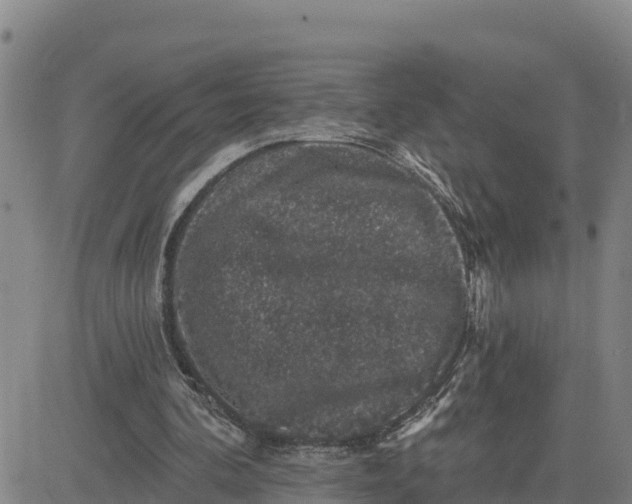 X0000080690292200612301456