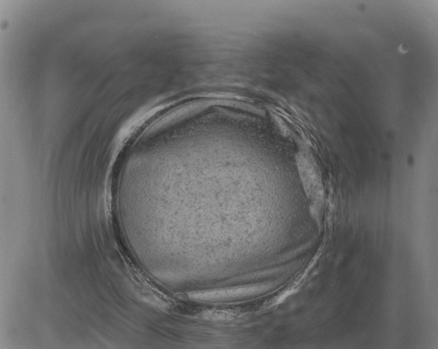 X0000080690294200612301456