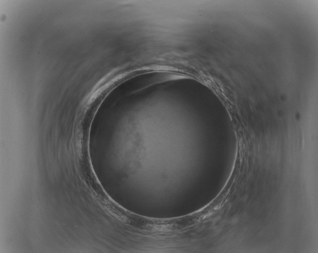 X0000080690295200612301456