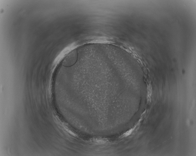 X0000080690296200612301456