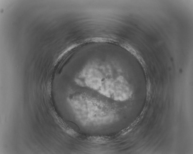 X0000080690297200612301456