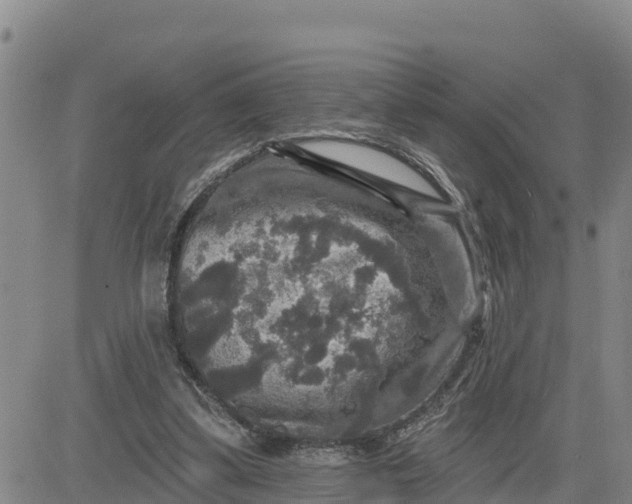 X0000080690299200612301456