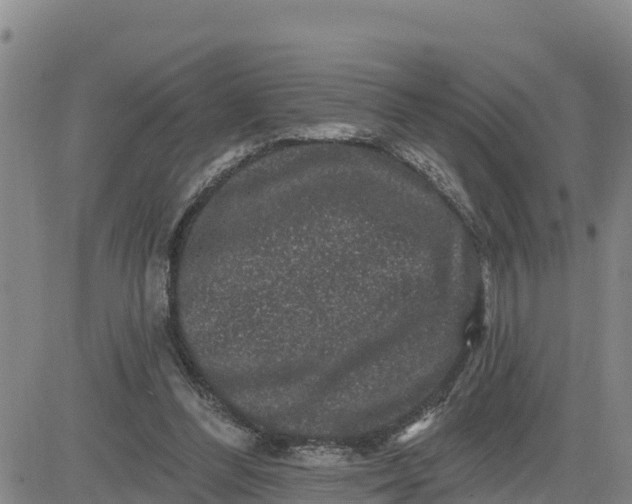 X0000080690300200612301456