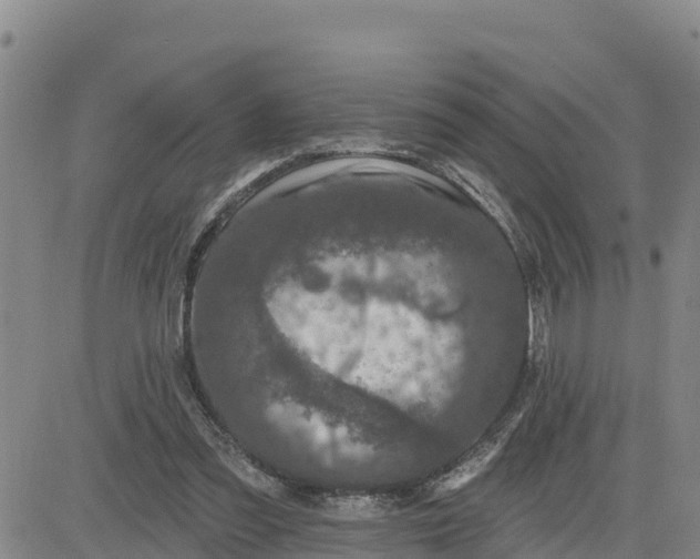 X0000080690301200612301456