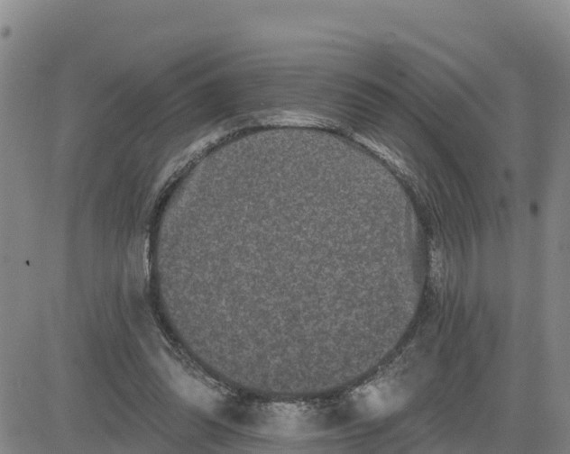 X0000080690302200612301456