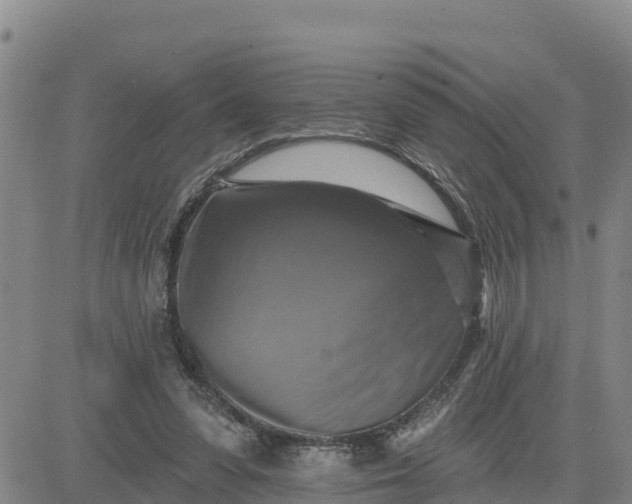 X0000080690303200612301456