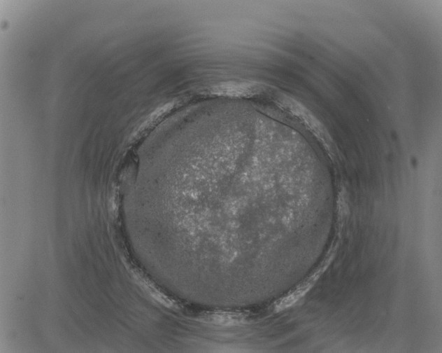 X0000080690305200612301456