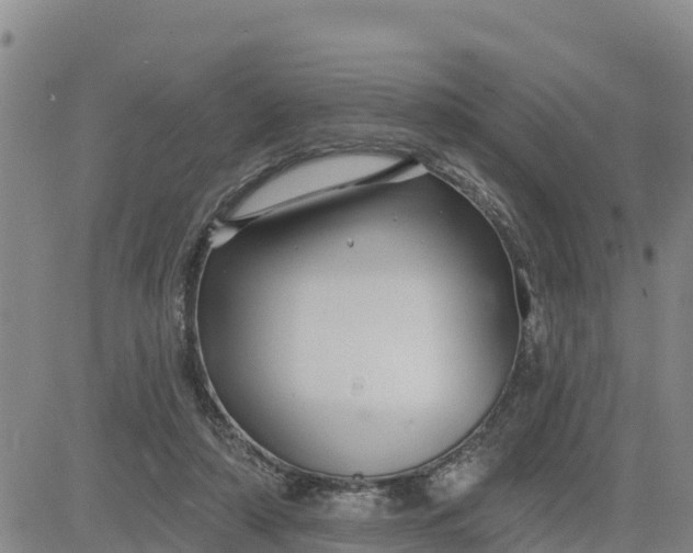 X0000080690306200612301456