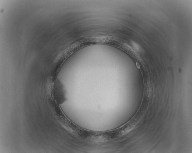 X0000080690307200612301456