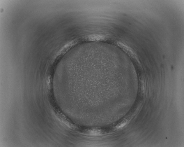 X0000080690308200612301456