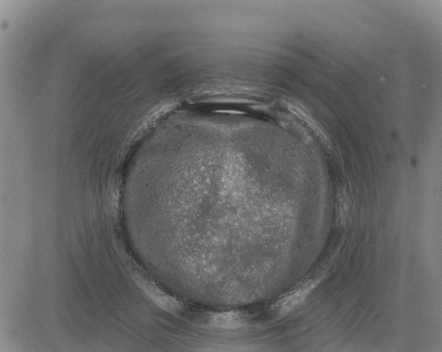 X0000080690309200612301456