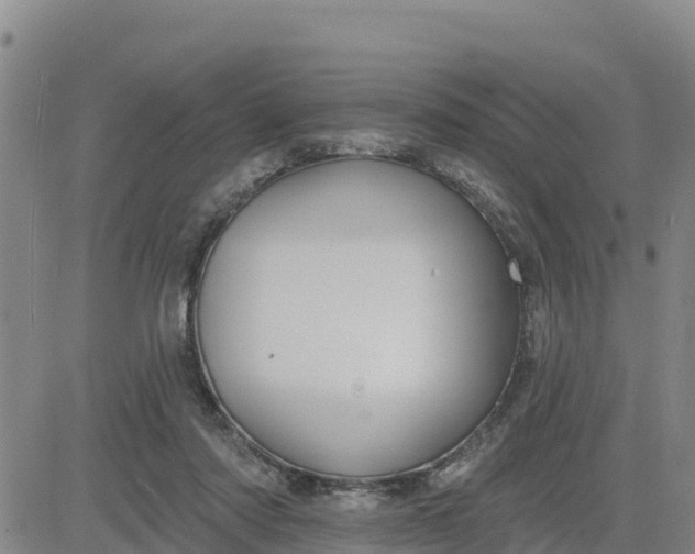 X0000080690310200612301456