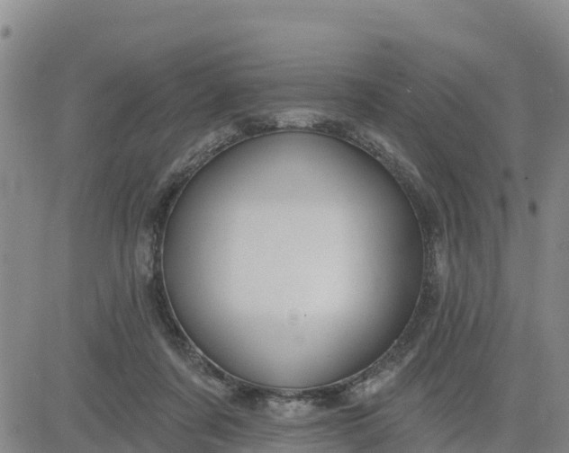 X0000080690311200612301456